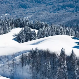 岳⋯好舒服⋯快⋯的有乱文
